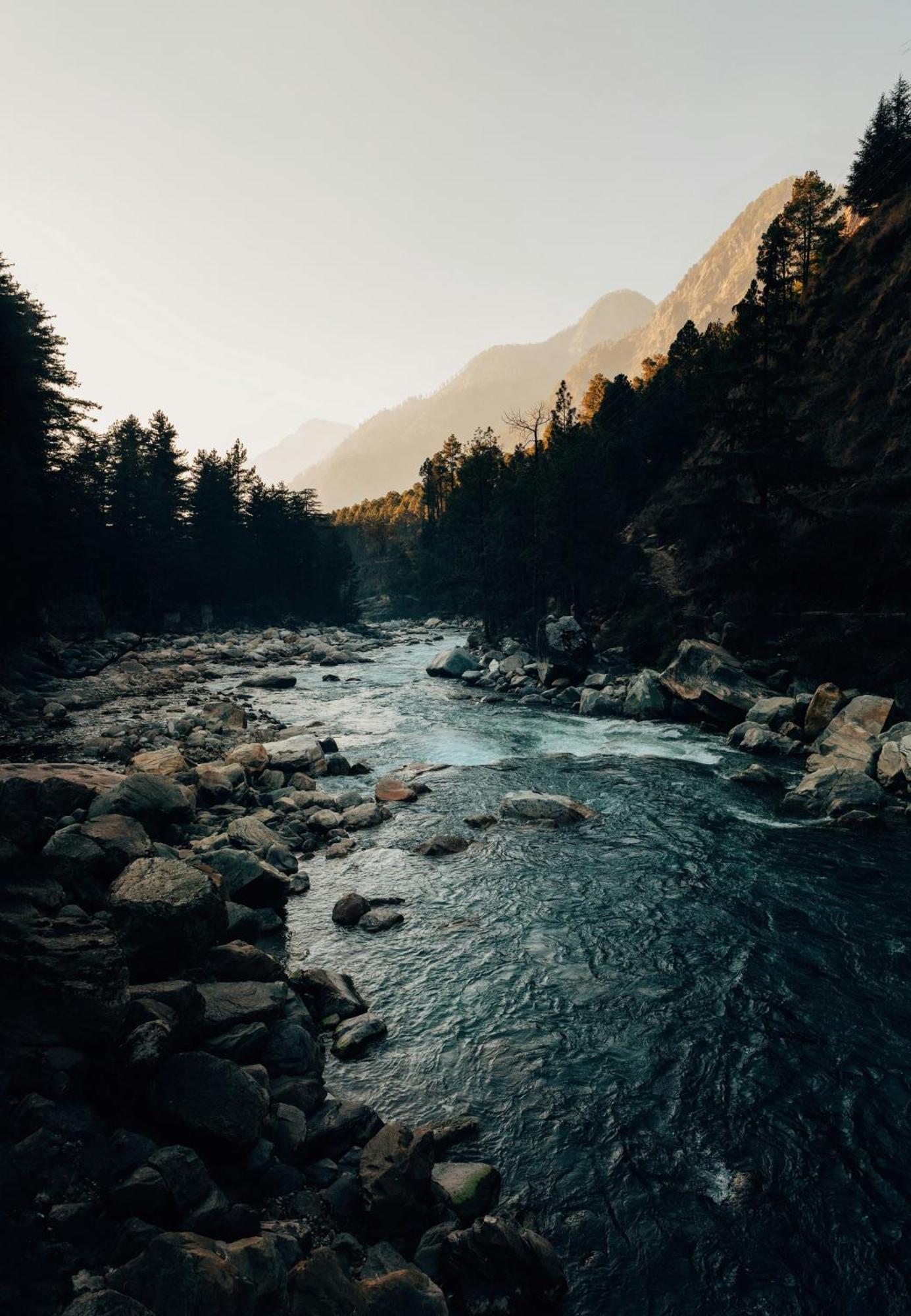 Hostel 360 Degree, Riverside Stay, Old Manali Eksteriør bilde
